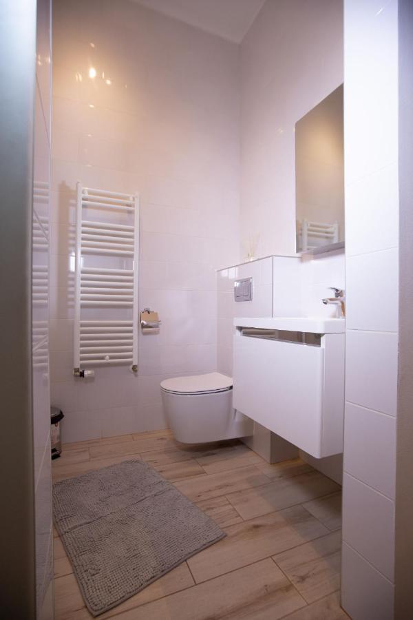 Alessia Apartment In The Old Town Timisoara Exterior photo